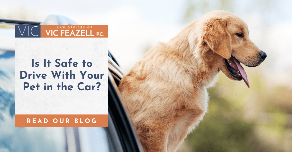 Is It Safe to Drive With Your Pet in the Car?